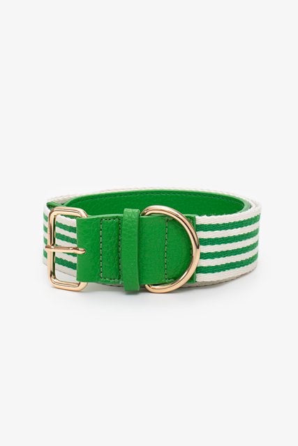 Sadie Stripe Belt – Green