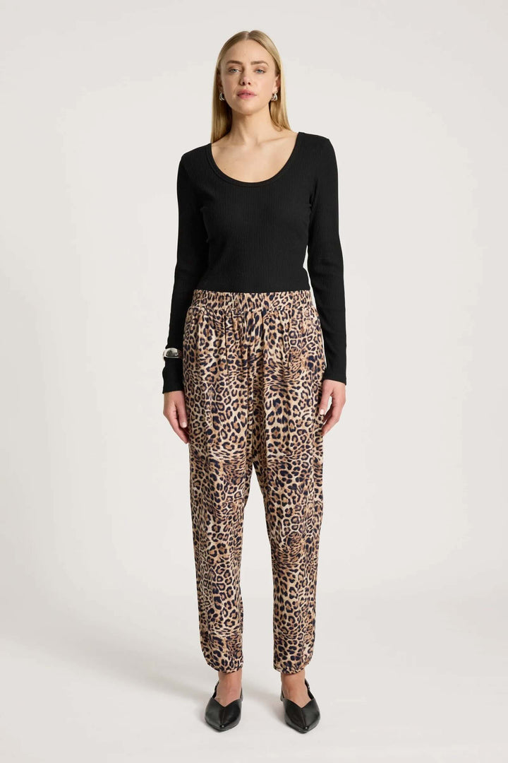 Bajau Pant – Nomad