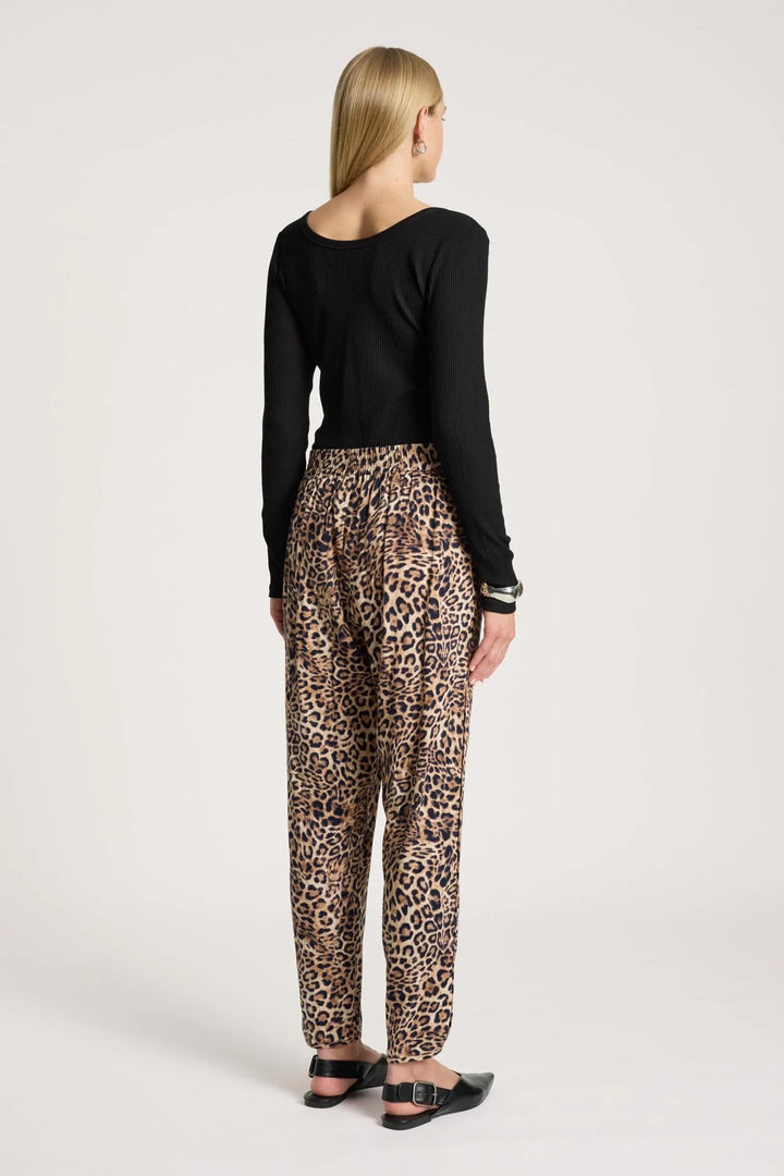 Bajau Pant – Nomad