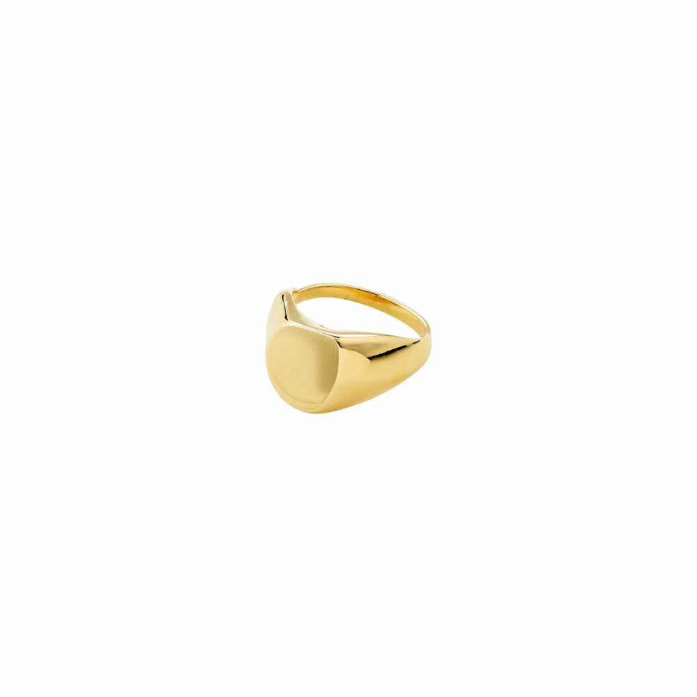 Presence Ring - Gold Plated