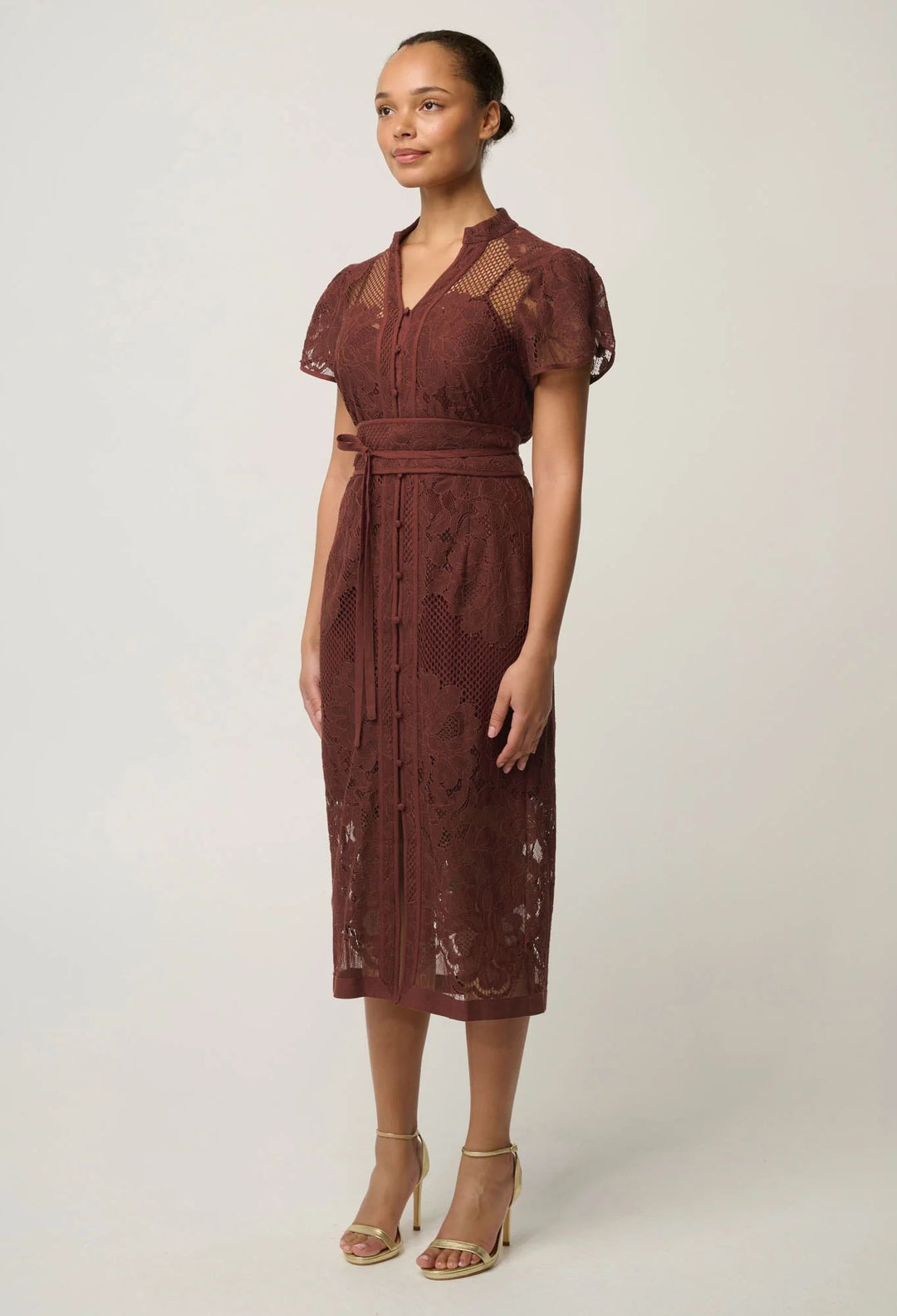 Solene Blend Cotton Lace Dress