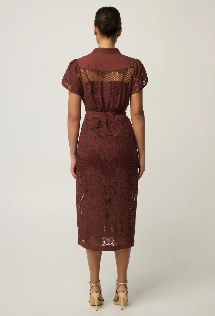Solene Blend Cotton Lace Dress