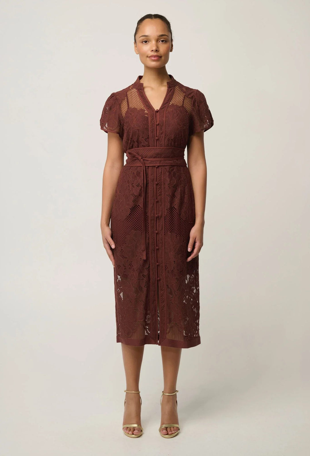 Solene Blend Cotton Lace Dress