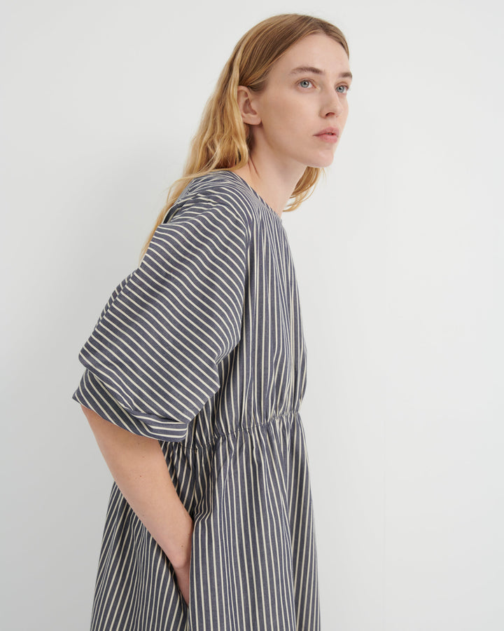 Ellora Pleated Sleeve Maxi Dress – Evening Stripe